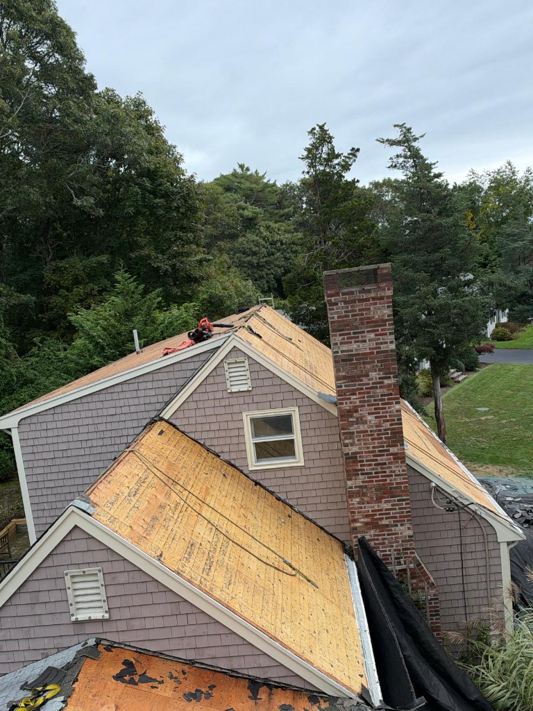 Roof Replacement & Repair project example 8