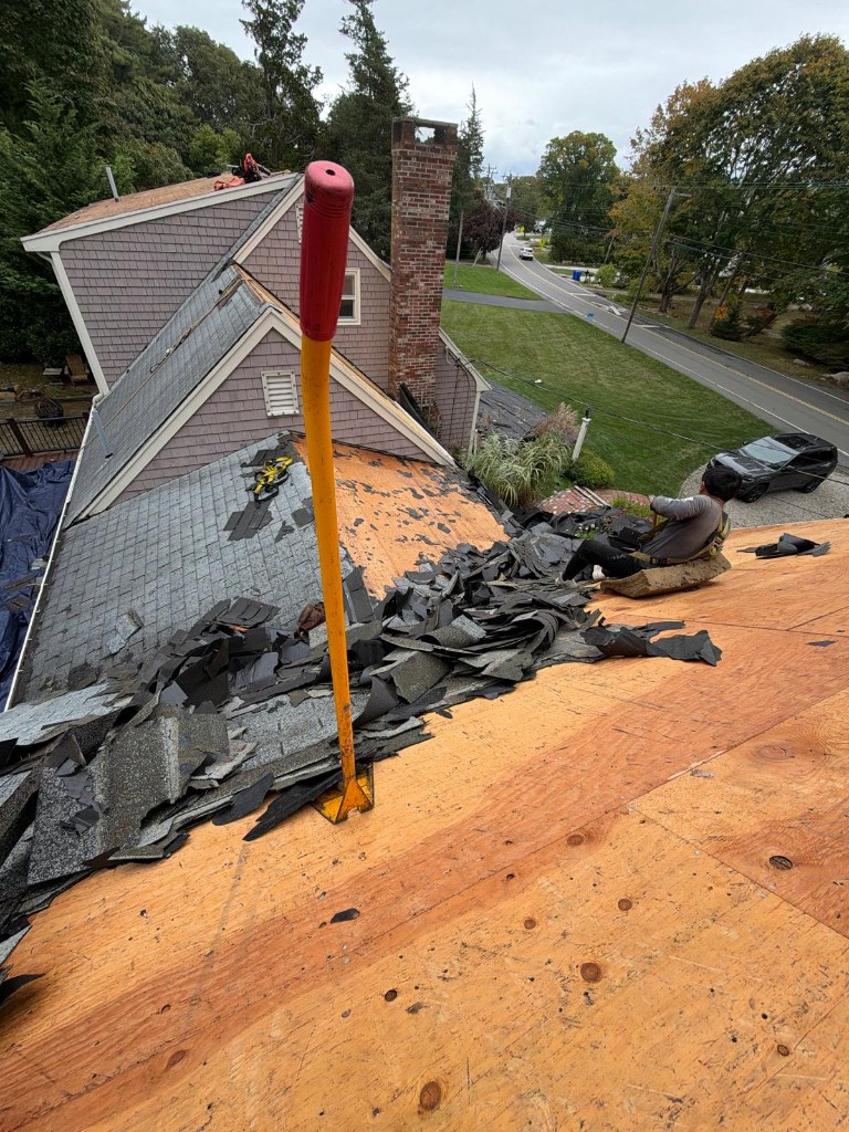 Roof Replacement & Repair project example 6